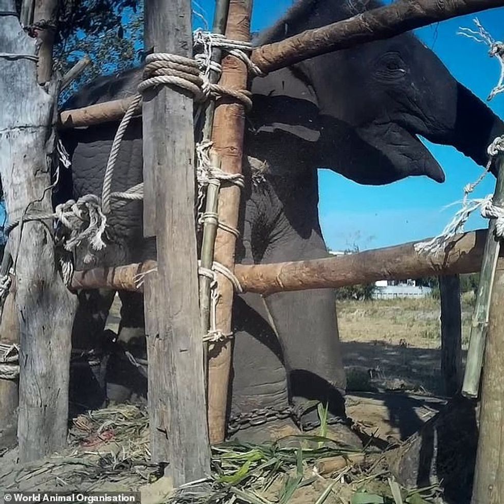 29954088 8450801 image a 10 1592912734404