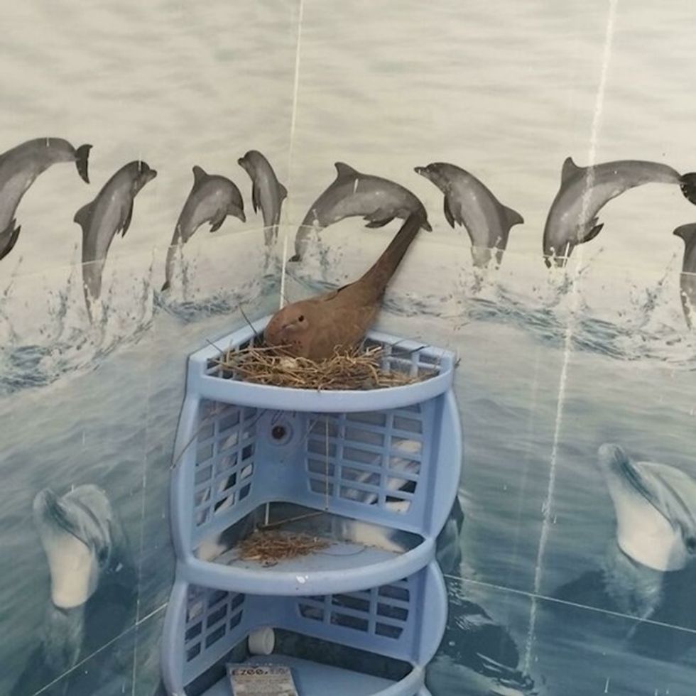 2a1bf730 b202 45e1 b2cd 85dc1eb209b8