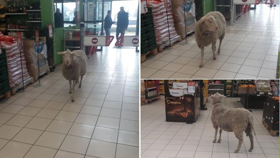 2a7ee5ac6a4086297fcb