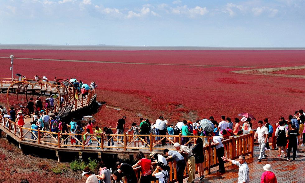 2BDEC36A00000578 0 image a 66 1441108757340