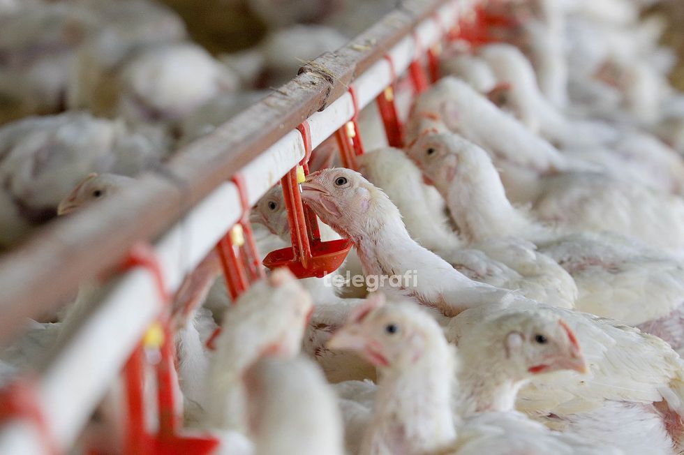 2d9191a8 1bd2 42fb b1e5 717b640f574c