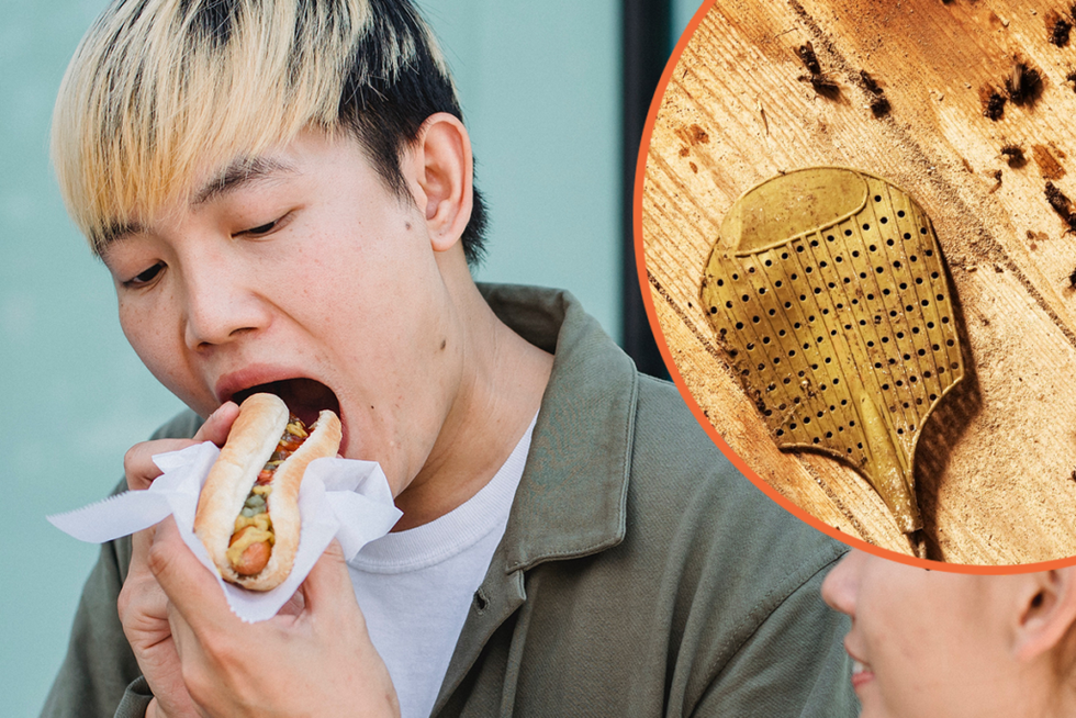 2f0dde56 food fly landed on 1