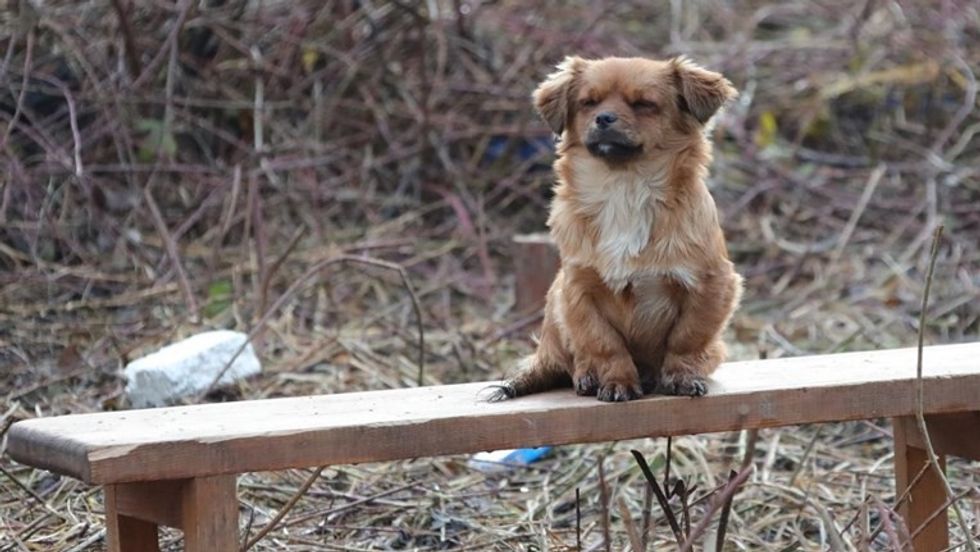 2fdd0814 bc05 428d 9259 daa915c75efd