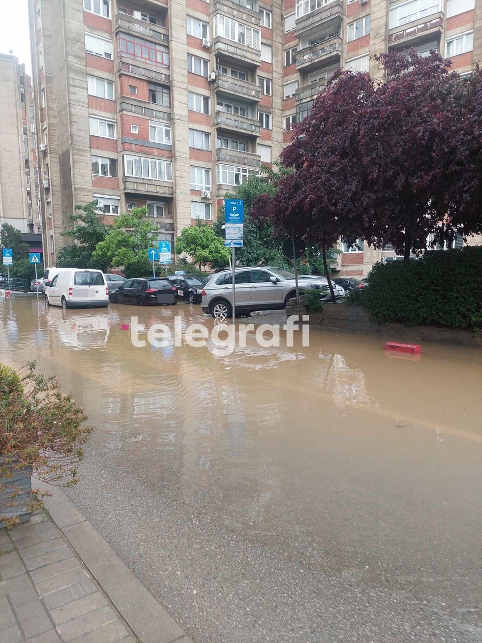 2ff429f5 a2f2 43ab b6a0 f96de4a877d6