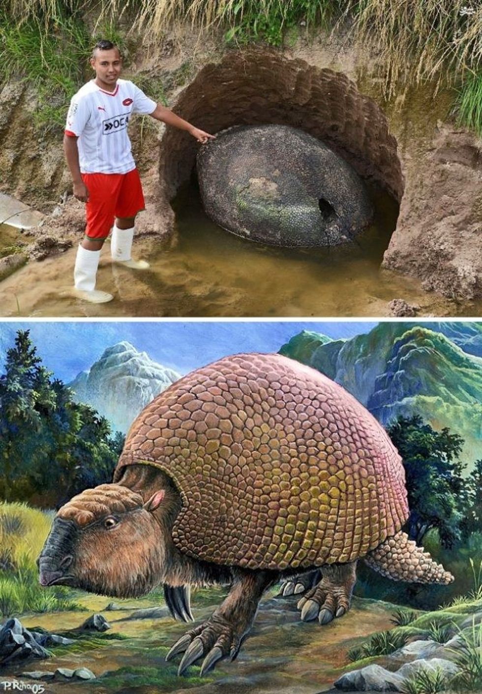 3 118
