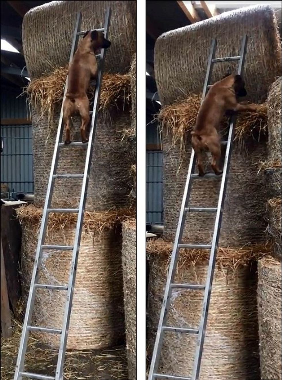 3 182