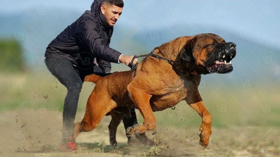 3 785 0 65081f532ebb445