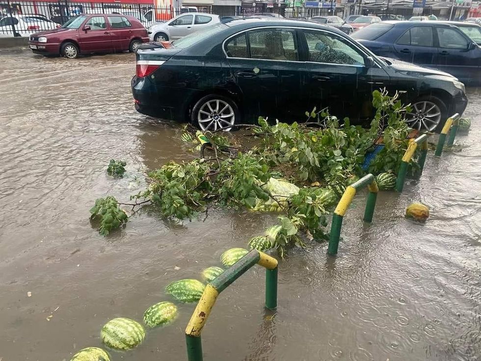 300534306 796210971509553 2986280478758590910 n