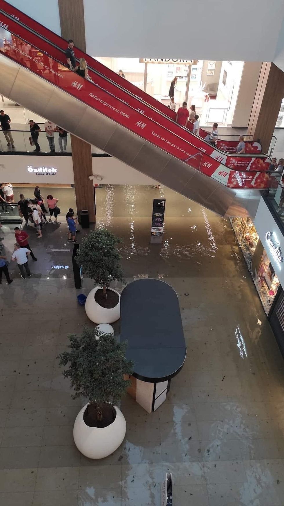 301040173 1133818870818517 797859408251531742 n