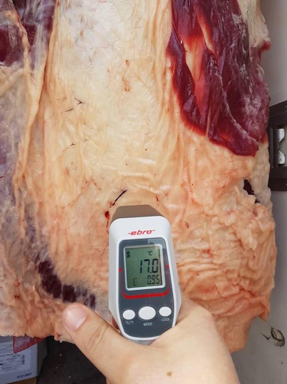 30127393 1749236148455546 2132420914225086464 n 1522937894 3036801