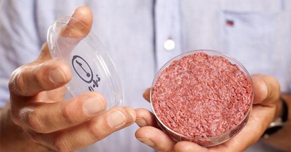 3015249-slide-culturedbeefslide1