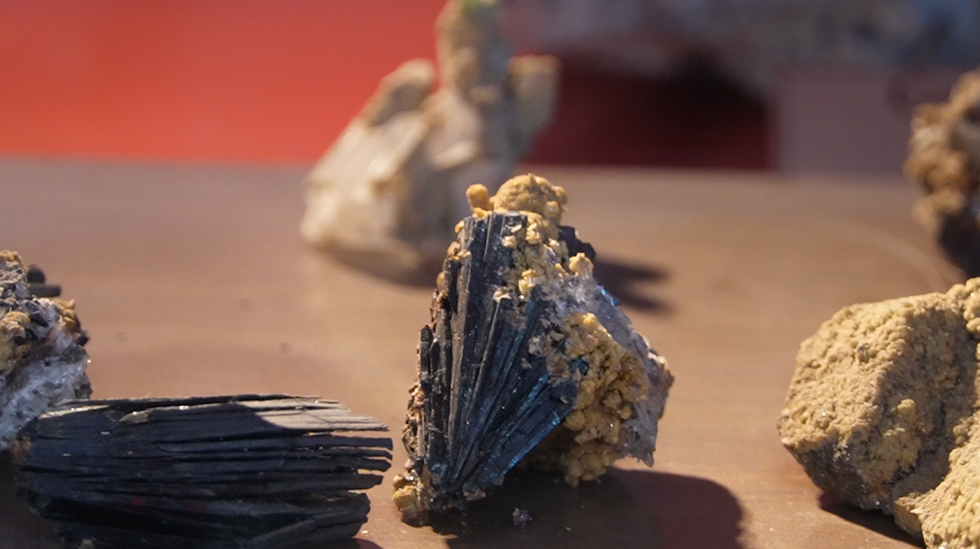 302427978 582956169974710 7857961066571662176 n