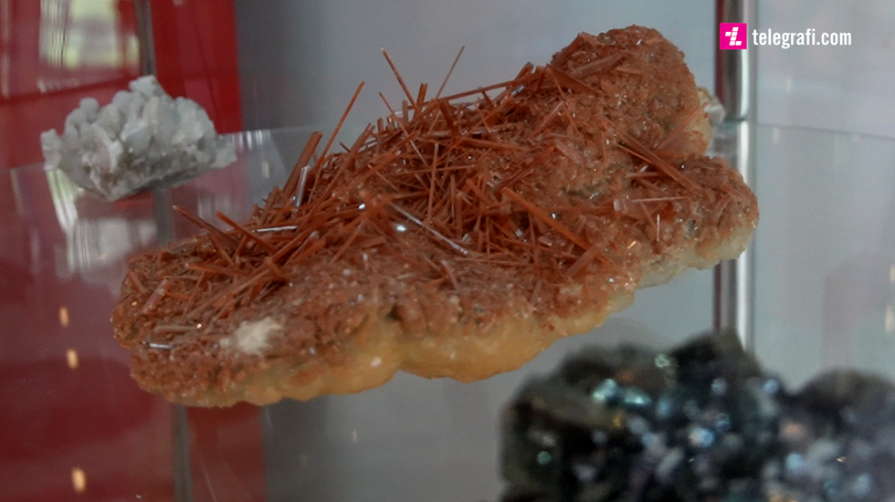 302549789 458339456181072 6747029462663850260 n