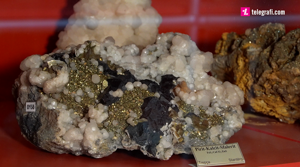 302629149 789549962164886 8112169210853235195 n