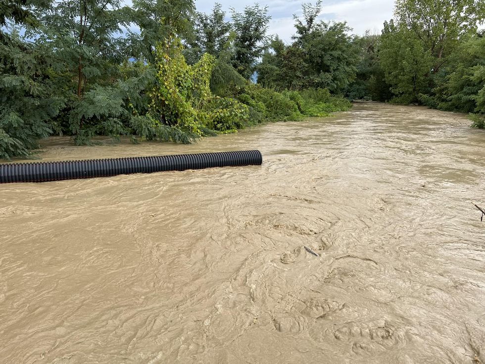 306984153 5691949290825867 8038405649527187165 n