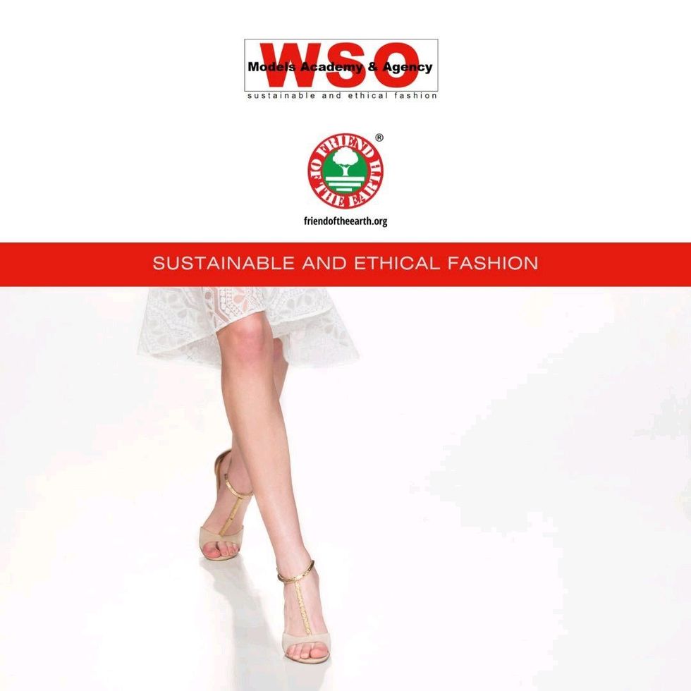 308353547 623844556037779 8055476691777044728 n