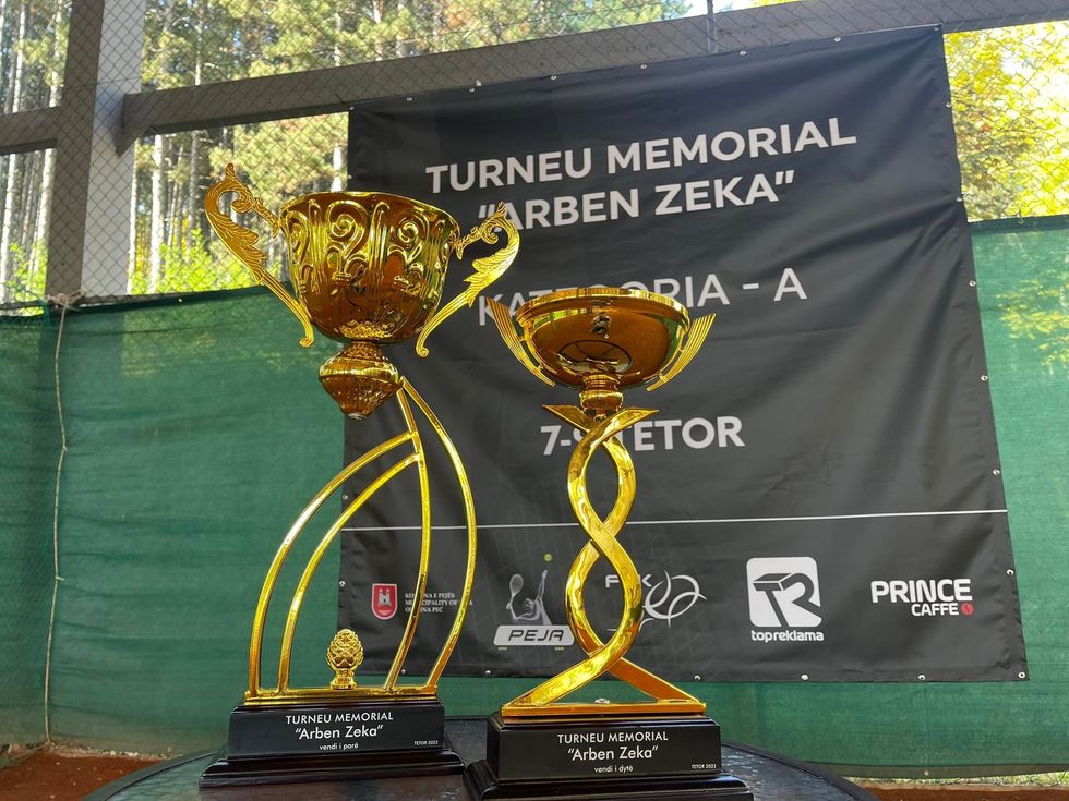 309880351 427653962767739 3811989675403542469 n