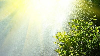 2022/06/istockphoto-155900081-612x612-2.jpg