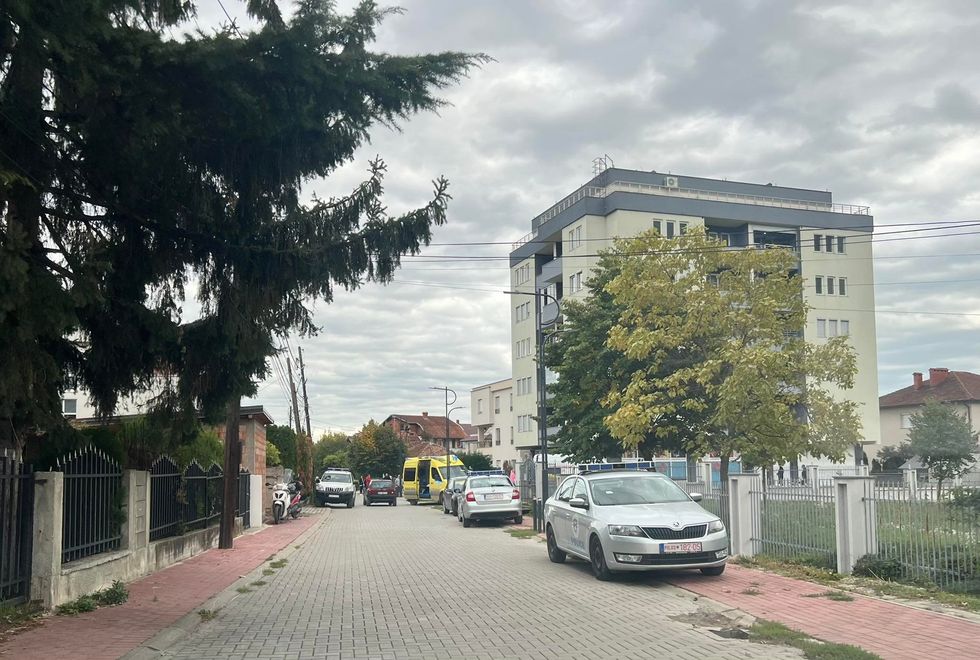 310458977 803109367802912 2436845746818653732 n