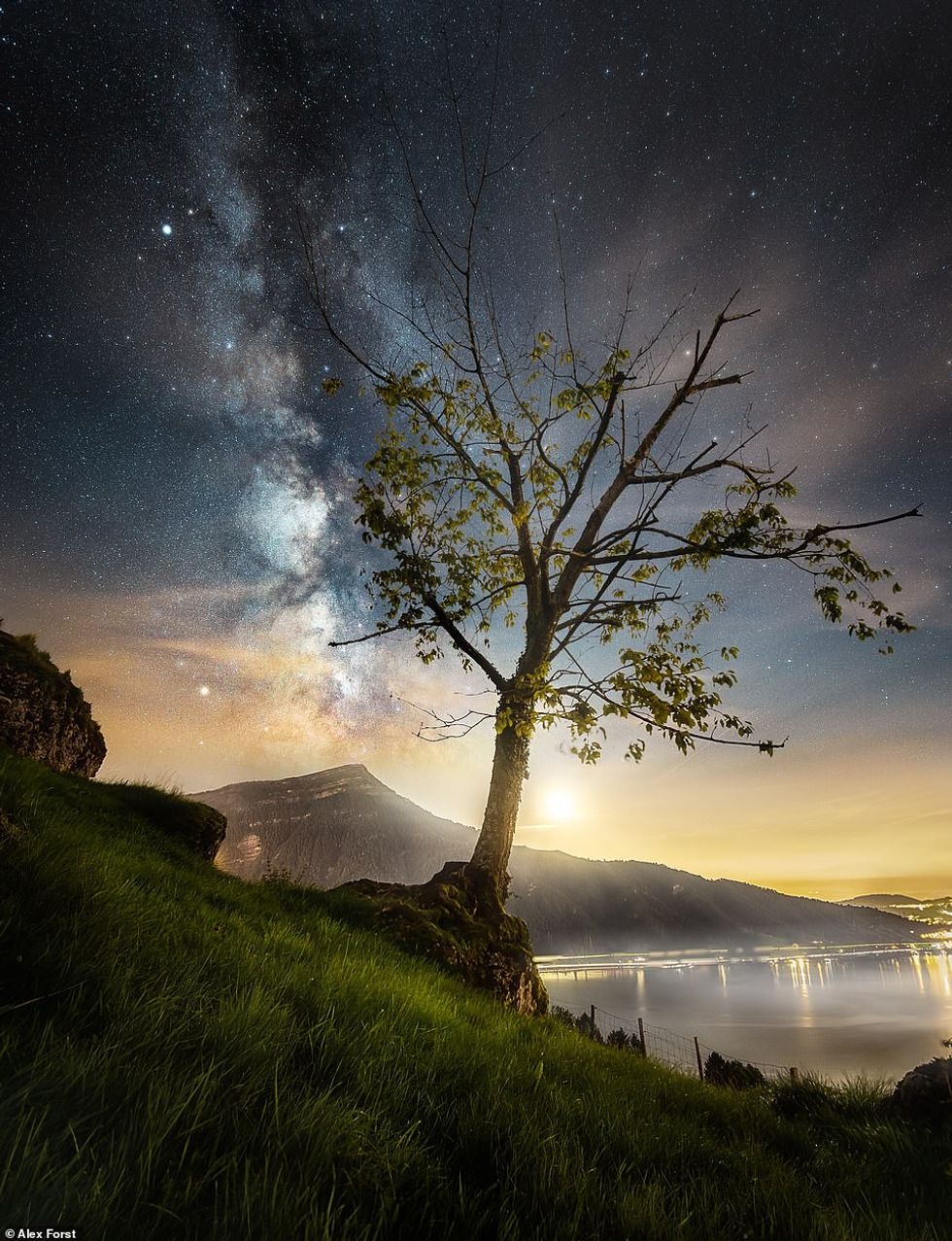 31058474 8545679 cvcv m 100 1595419835033