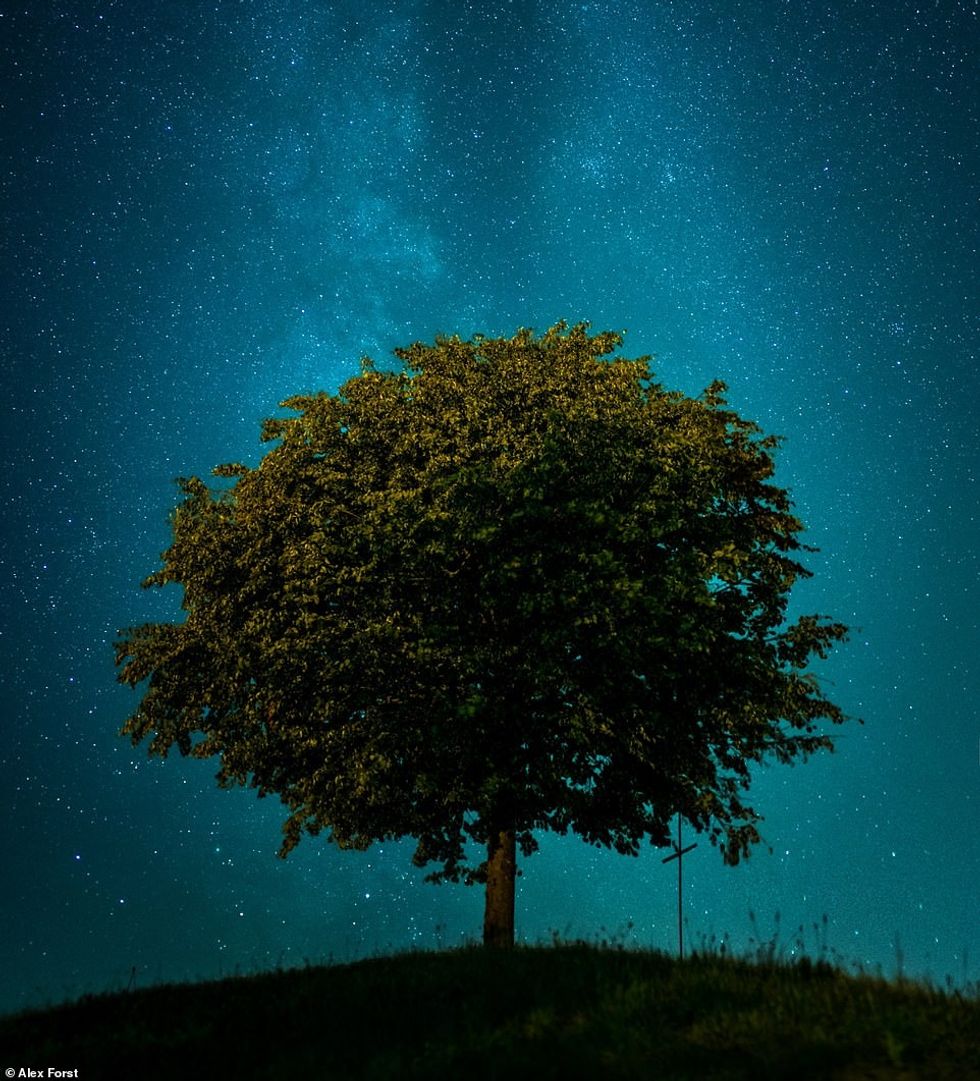 31058478 8545679 image a 105 1595419872373