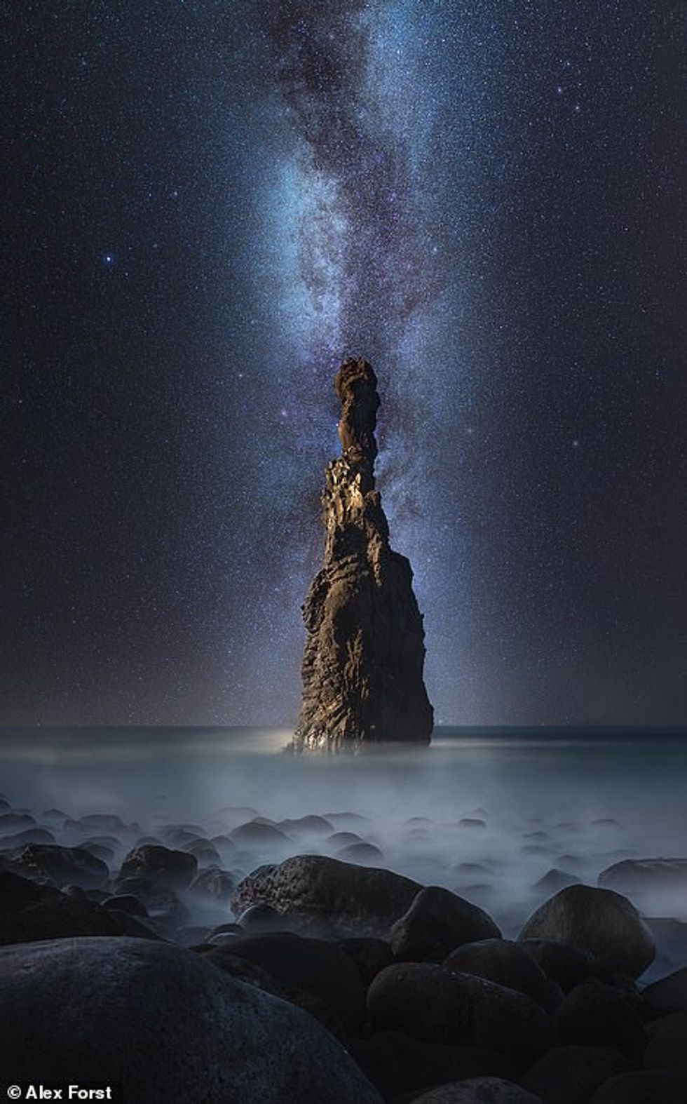 31058486 8545679 cvcv a 117 1595420000188