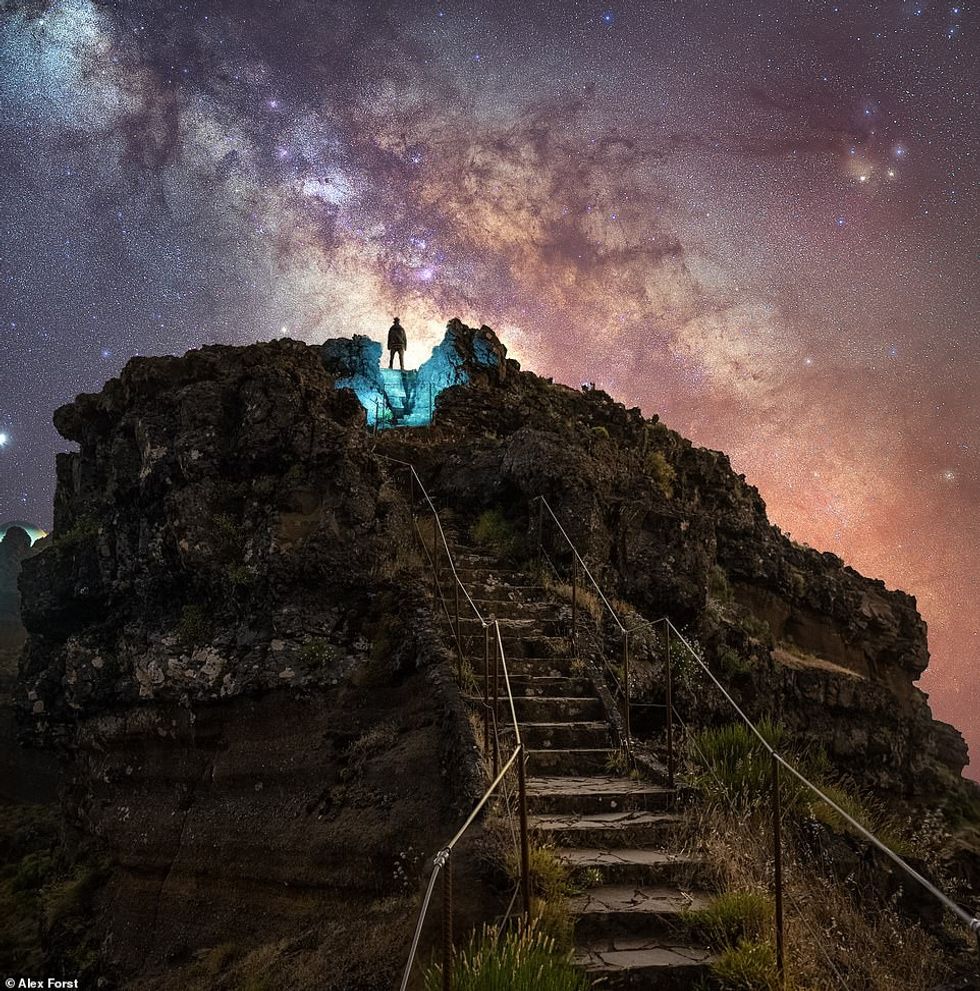 31058500 8545679 image a 111 1595419923755