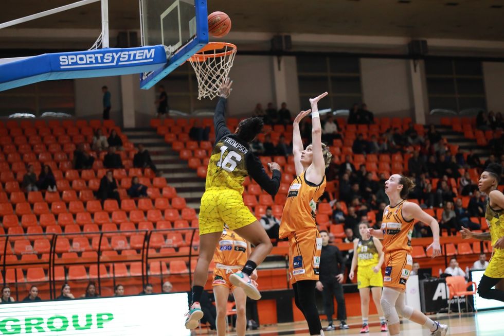 311986957 2148934315286473 1606689304168407998 n