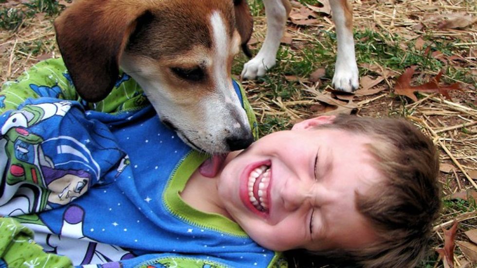 3122318055 c9db2dc6ac b 1