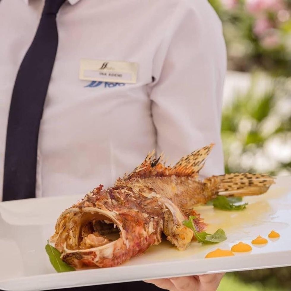 314395216 930113761692811 5708470324470402977 n