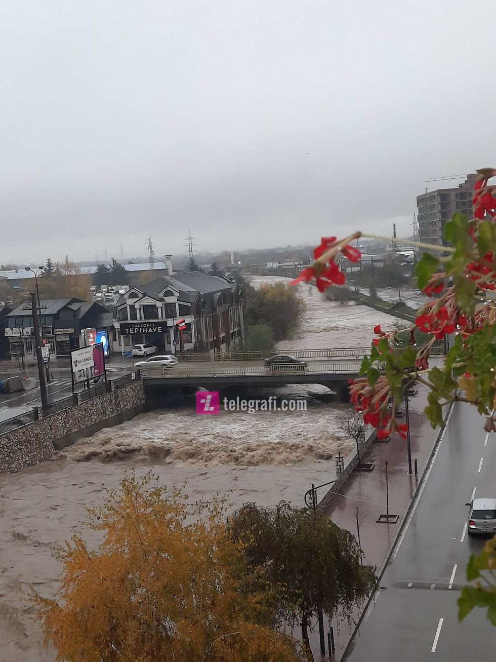 315516778 1490975654724421 2281786599859016334 n 1