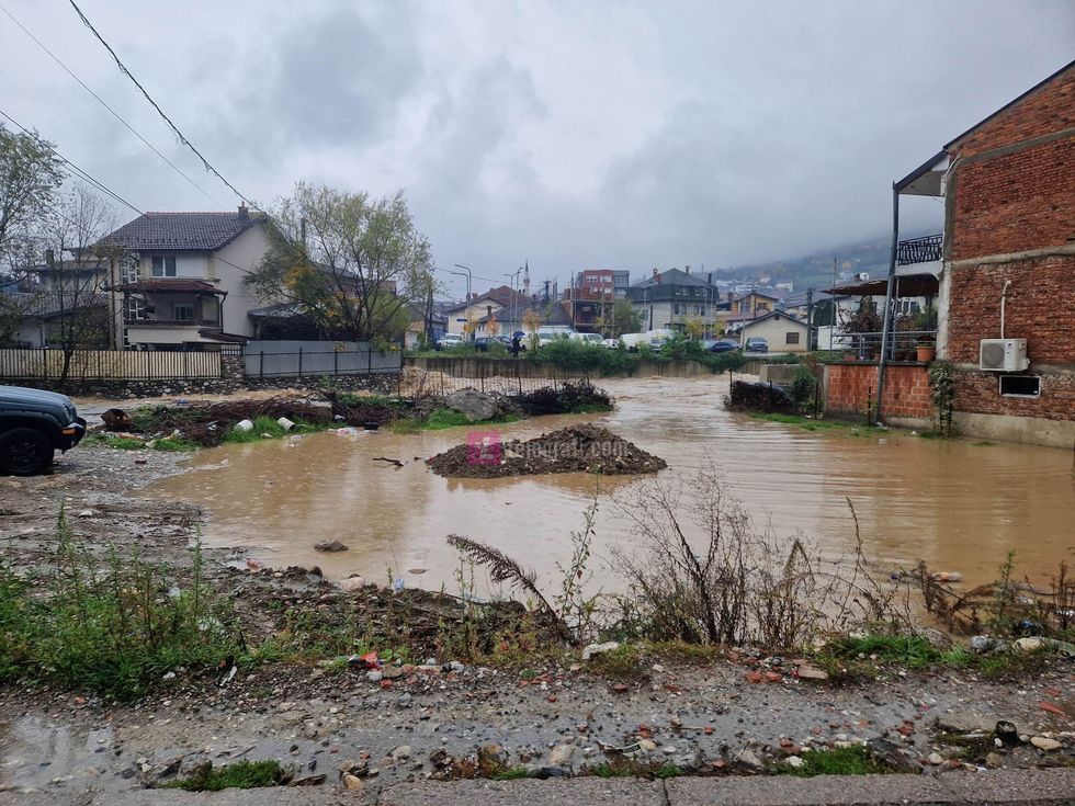 316017961 1210179292866706 1093636476717668665 n 1