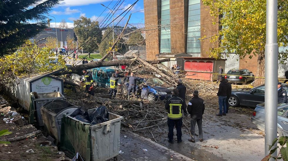 316130402 5186920751408537 4030197175738709706 n