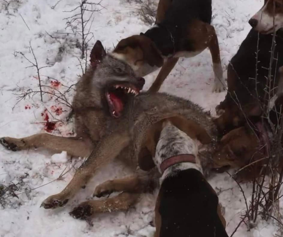 316172849 5660215347388889 4399030452855491252 n