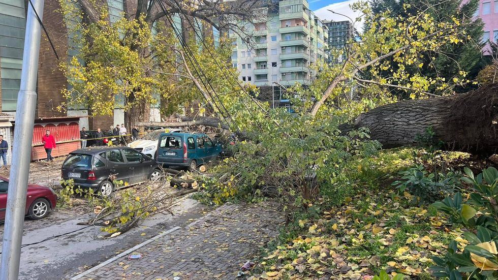 316173020 5186920791408533 8888294837382439172 n