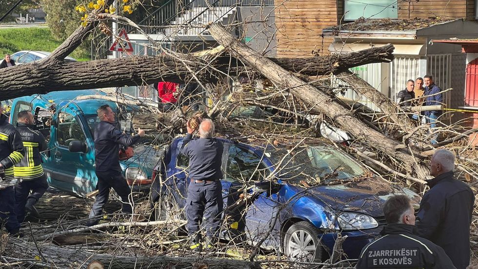 316281328 5186920731408539 1748845812204345831 n