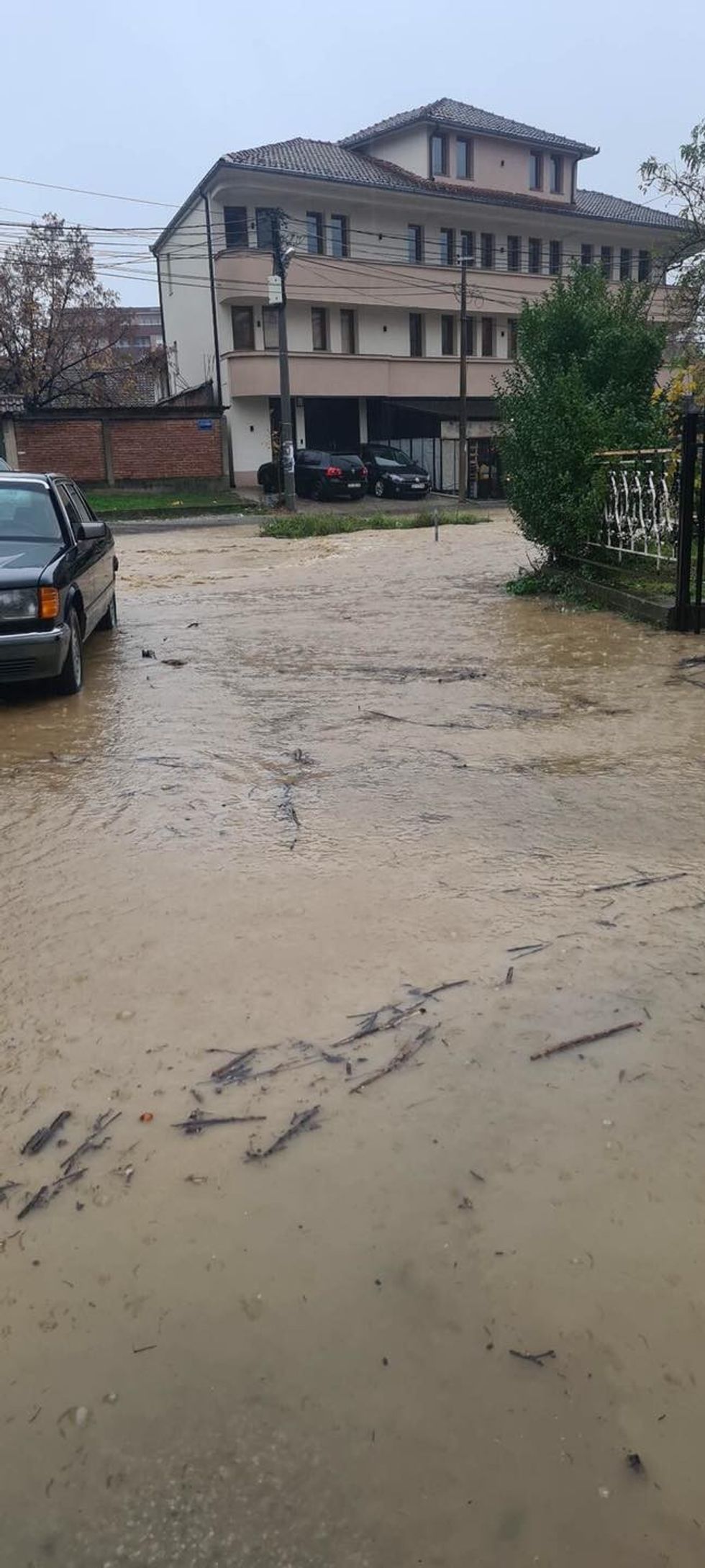 316314923 527857415877347 5993388518312766402 n