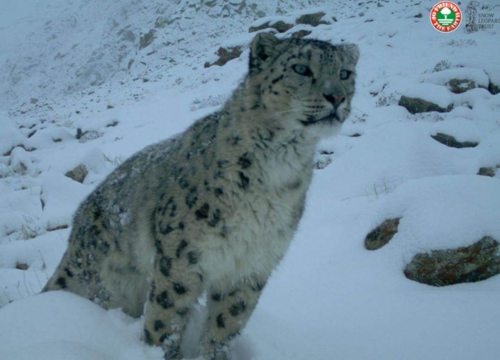 318671534 8432487250157378 7180279866332683917 n 3