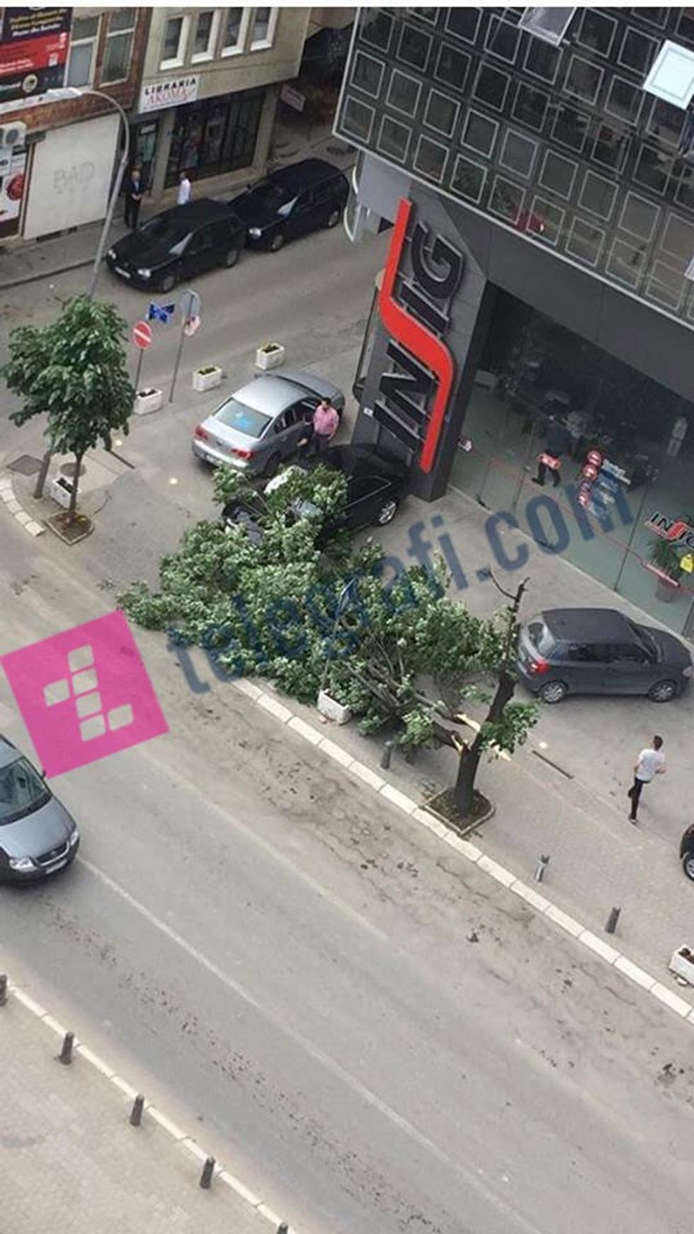 31895144 601742936870107 9078251371165122560 n