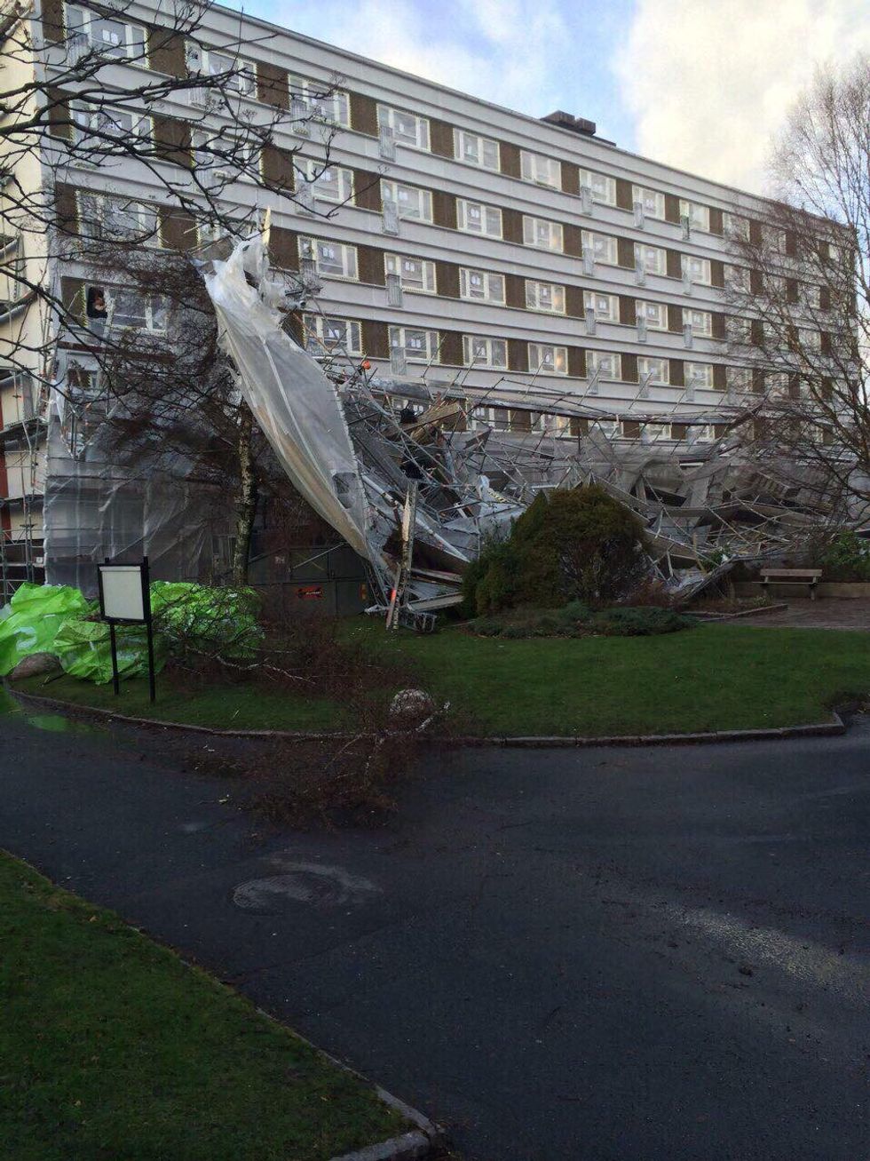 31963988 1776491815747279 6986999934675320832 n