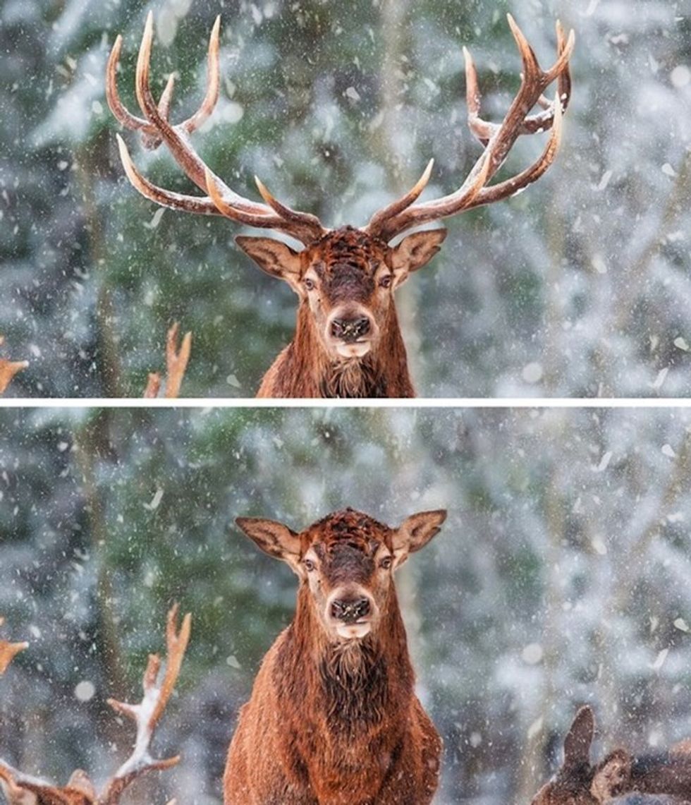 31a8536a f132 4db9 b602 14ec0f94ccd9