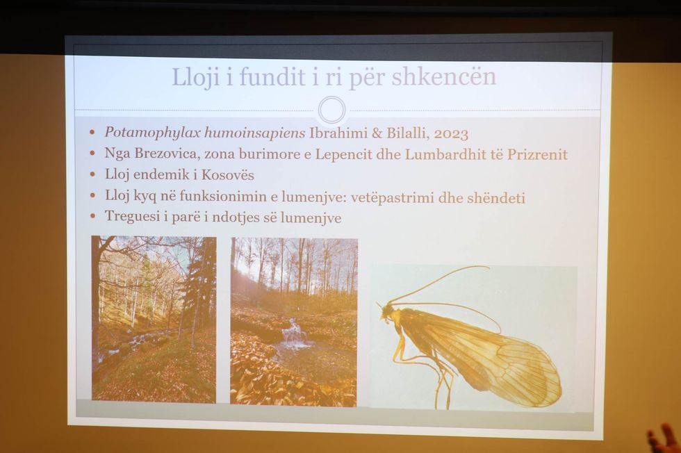 321711398 1817862261941812 8729911973809202004 n