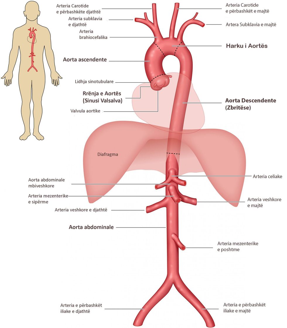 324361754 1699389760458627 8066816816563939723 n scaled