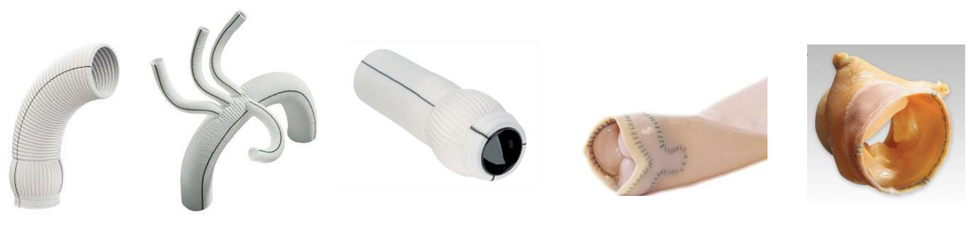 324537866 932096564631171 8013928494787843445 n