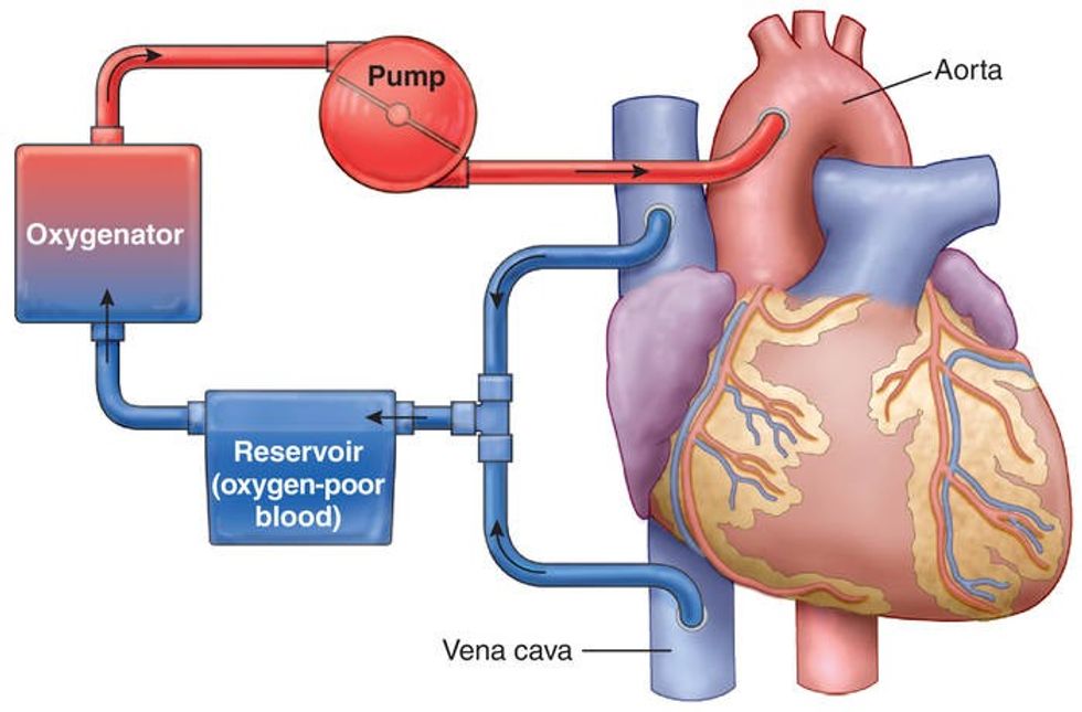 325054460 5813836991999481 355691029257233038 n