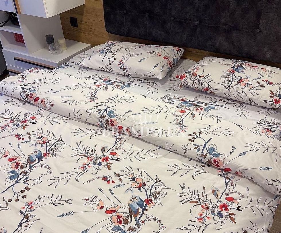 325216710 563867835788181 3448622341469799231 n e1673998878504