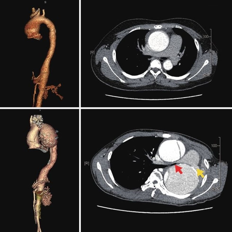 325869611 1511944279328813 7397165522343383058 n