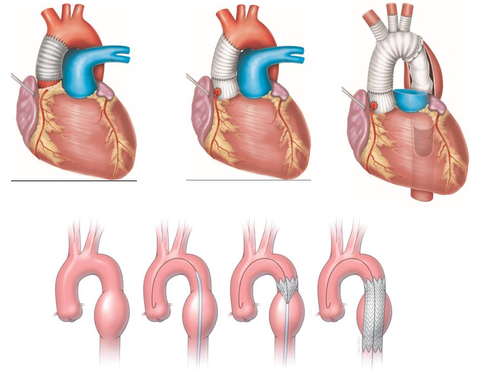 326068362 858984715188483 7307593374031544162 n