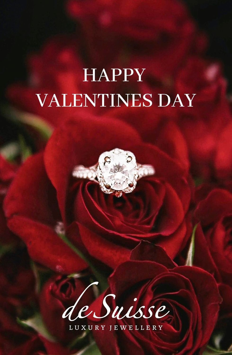 326168819 969739607246621 967899288463140079 n