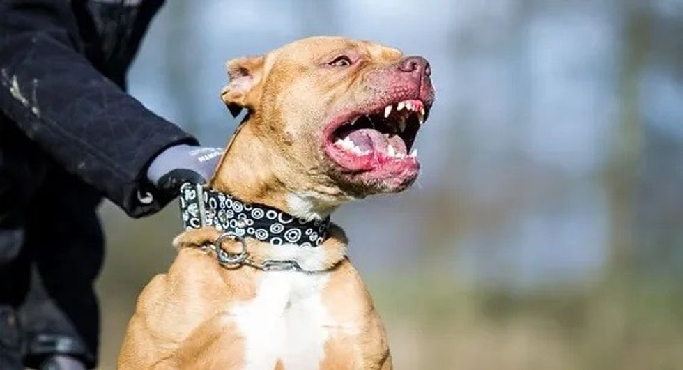 326270 9706490d79484aaabd0ad25a1eaf9e34mv2